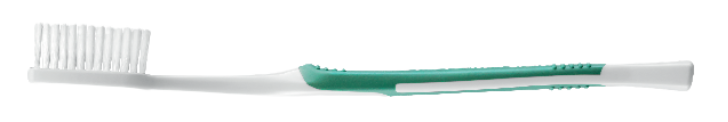 Systema Toothbrushes